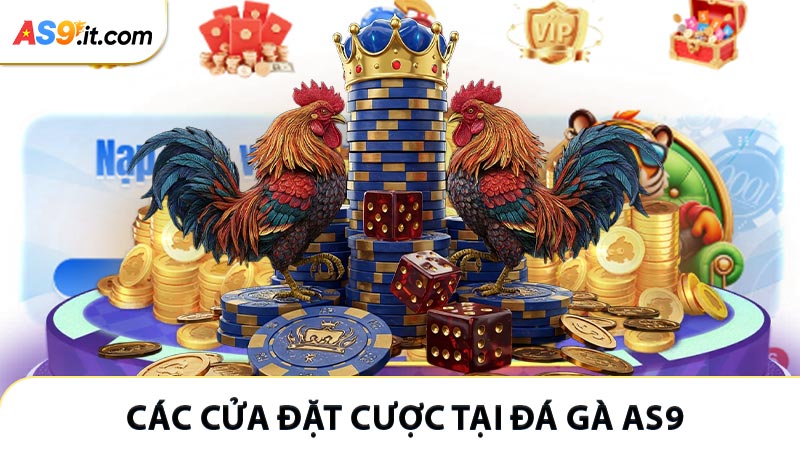 Các cửa đặt cược thông dụng tại đá gà AS9