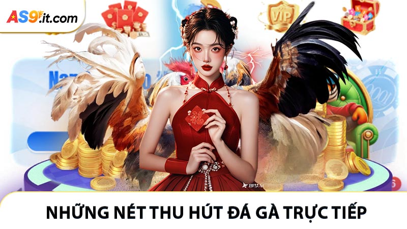 Những nét thu hút khi theo dõi đá gà trực tiếp