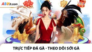Trực Tiếp Đá Gà - Theo Dõi Sới Gà Mỗi Phút Giây
