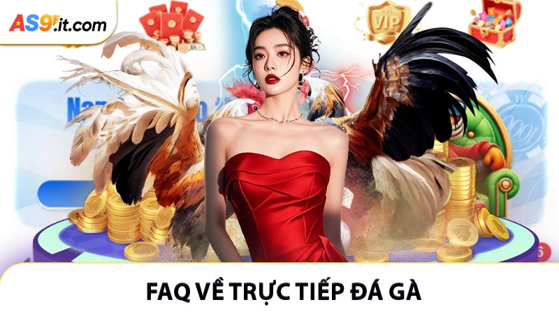 FAQ về trực tiếp đá gà