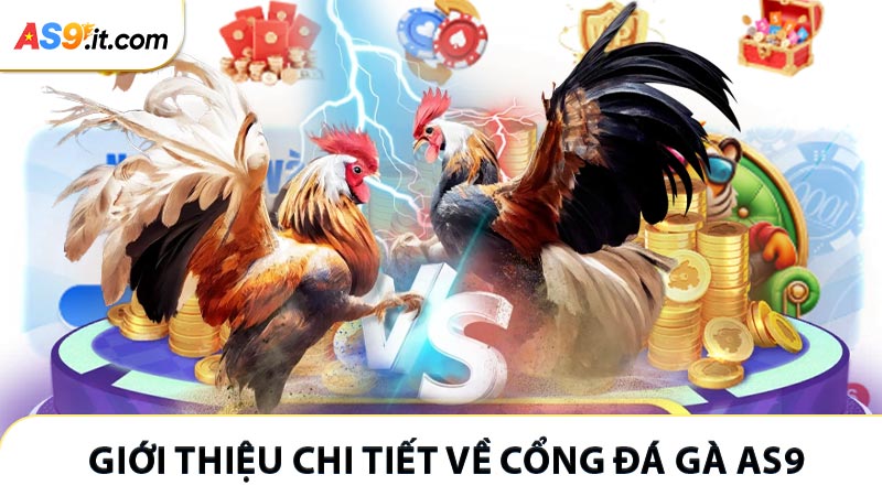 Giới thiệu chi tiết về cổng đá gà AS9